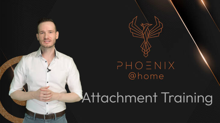 Phoenix@home 05 - Attachment Training [Digital]