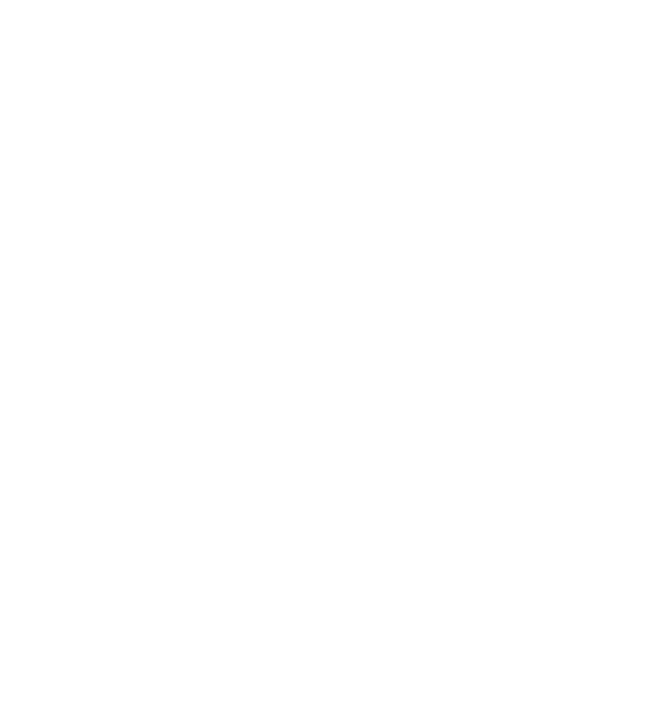 logo phoenix kopie 2